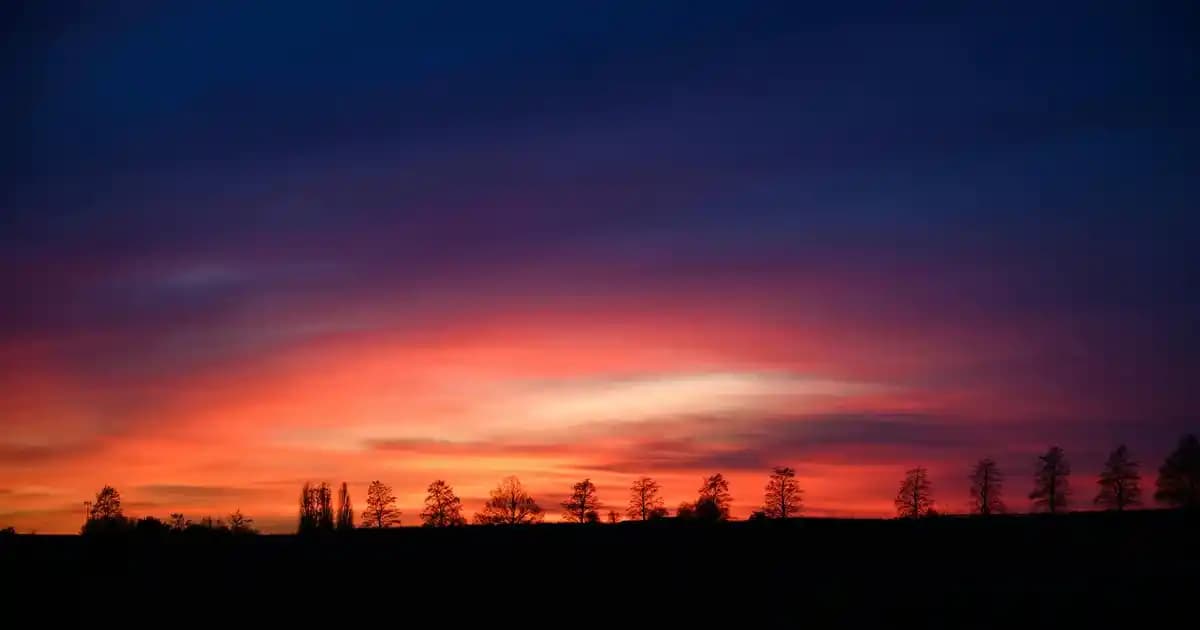 Bebeklerde Egzama Tedavisinde Zeytinyağının Rolü ve Doğal Bakım Yöntemleri