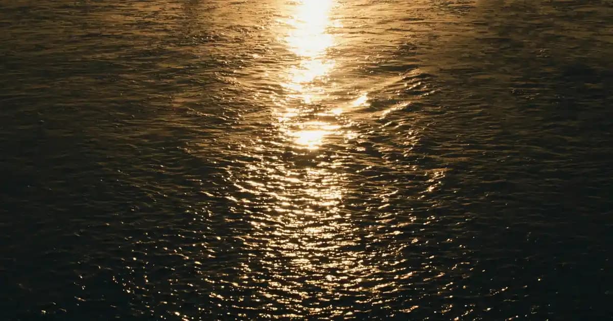 Bebeklerde Fito Krem Kullanımı: Doğal ve Güvenli Cilt Bakımı İçin Rehber