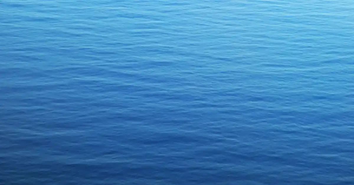 Bebeklerde Fito Krem Kullanımı ve Faydaları: Doğal Cilt Bakımı Rehberi