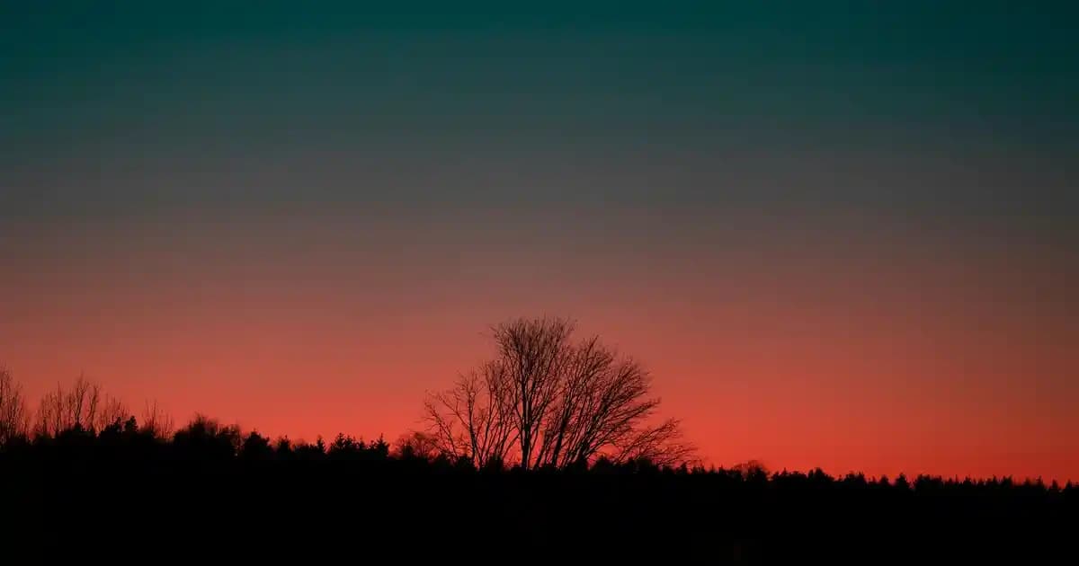 Bepanthol Derma Yüz İçin Nemlendirme, Onarım ve Koruma Sağlayan Cilt Bakım Ürünü