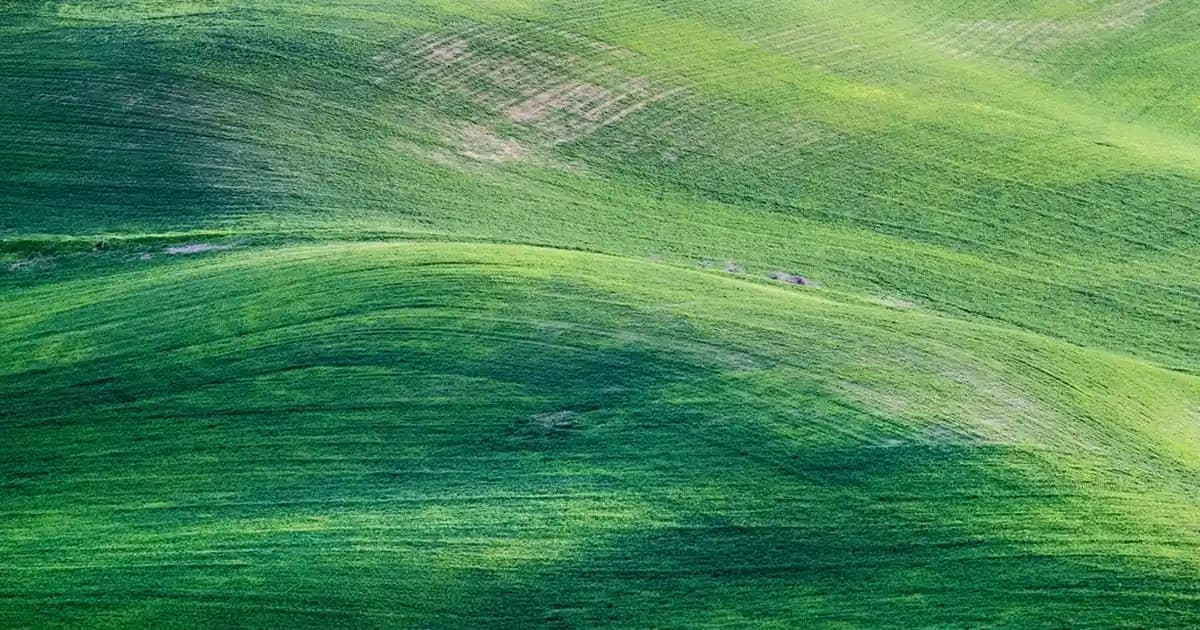 Bepanthol Derma Yüze Uygulanır Mı? Kuru ve Hassas Ciltler İçin Detaylı Rehber