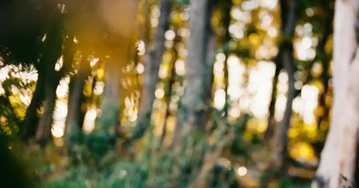 Bepanthol ve Devlet Ödemesi: Türkiye'de Cilt Bakım Ürünlerinin Geri Ödeme Durumu