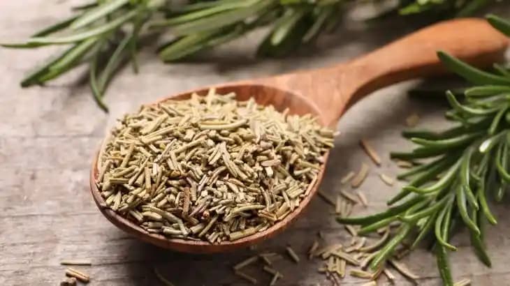 Biberiye Çayının Saça Faydaları ve Doğal Saç Bakımında Kullanımı