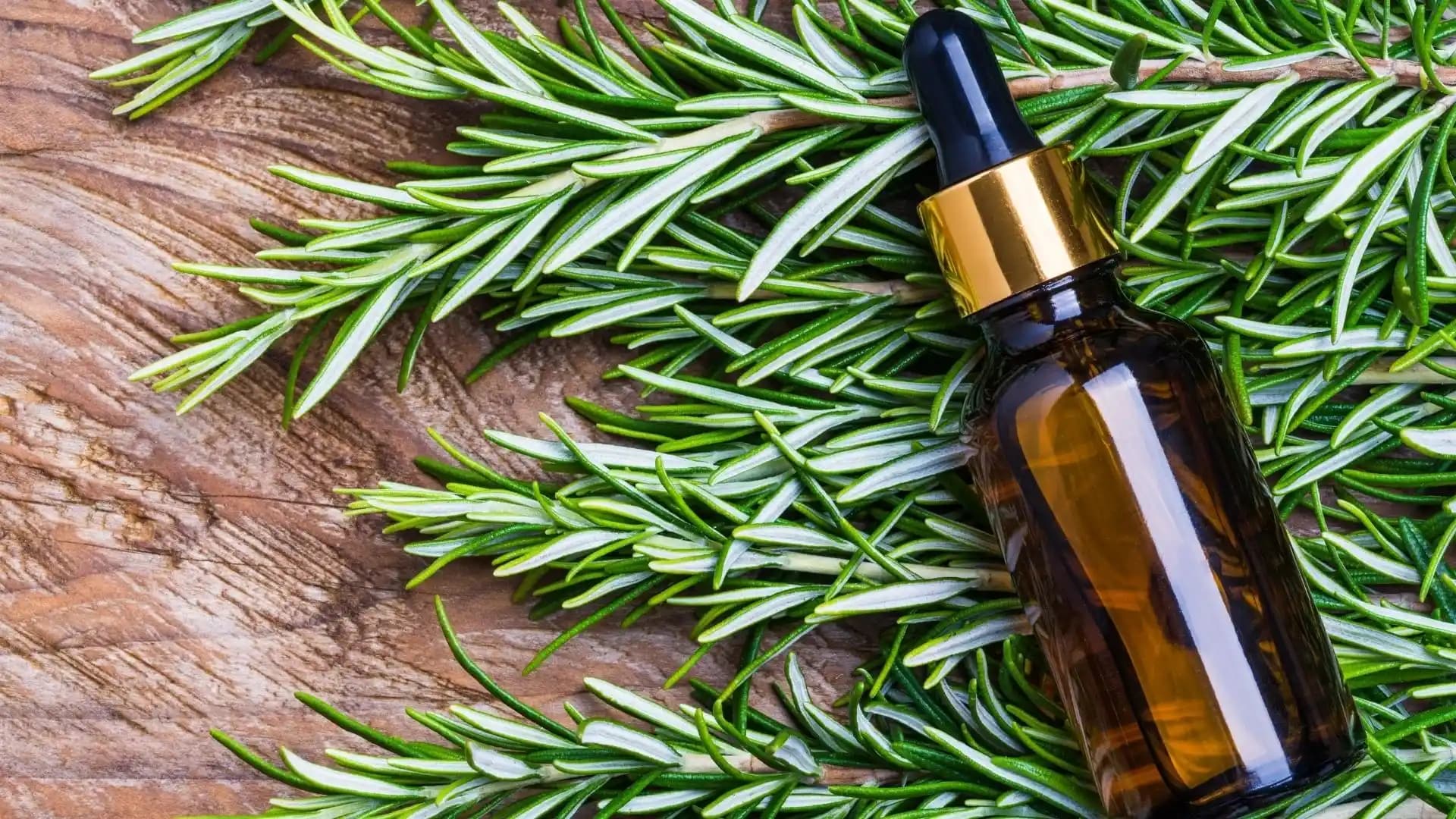 Biberiye Yağı Saç Bakımında Nasıl Kullanılır? Doğal ve Etkili Yöntemler