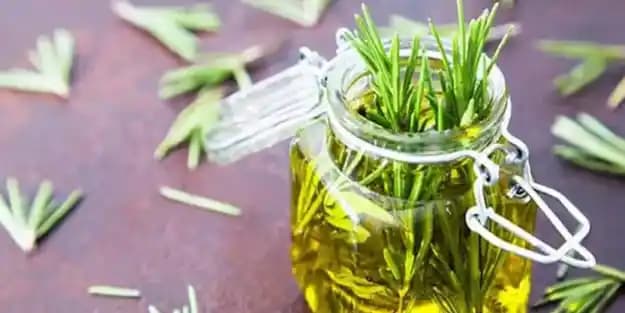 Biberiye Yağı Son Kullanma Tarihi Geçerse Ne Olur? Etkileri ve Saklama Önerileri