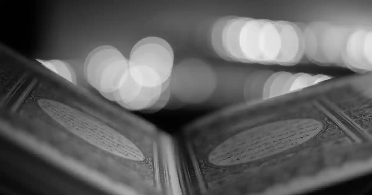 Bioder Bitkisel Tüy Dökücü Krem Erkeklere Özel 100 ml x 2 Adet – Doğal ve Etkili Bakım