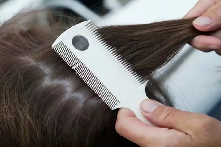 Bitex Bit İlacı Nasıl Kullanılır? Etkili Bit Tedavisi İçin Detaylı Rehber