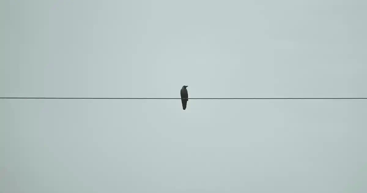 Böğürtlen Kızılı Saç Rengi: Canlı ve Zarif Tonlarla Saçınıza Derinlik Katın