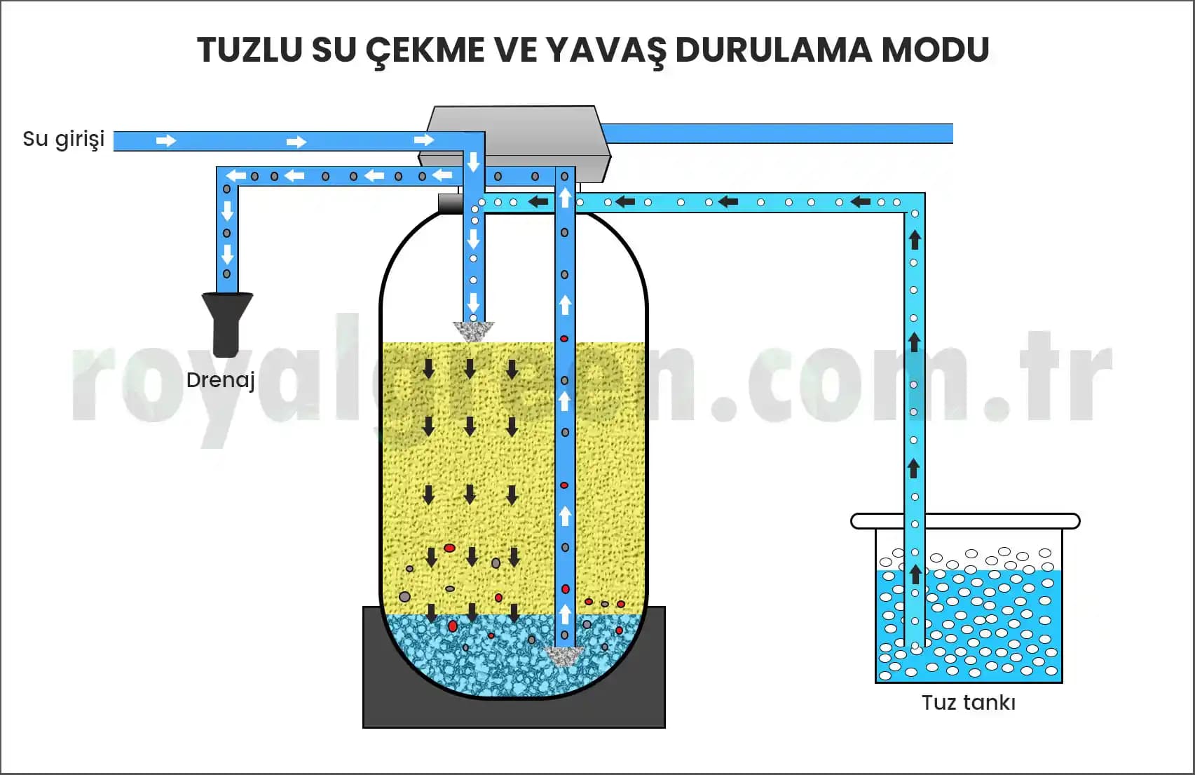 Burna Tuzlu Su Çekme Yöntemleri ve Burun Sağlığı İçin Doğal Bakım Rehberi