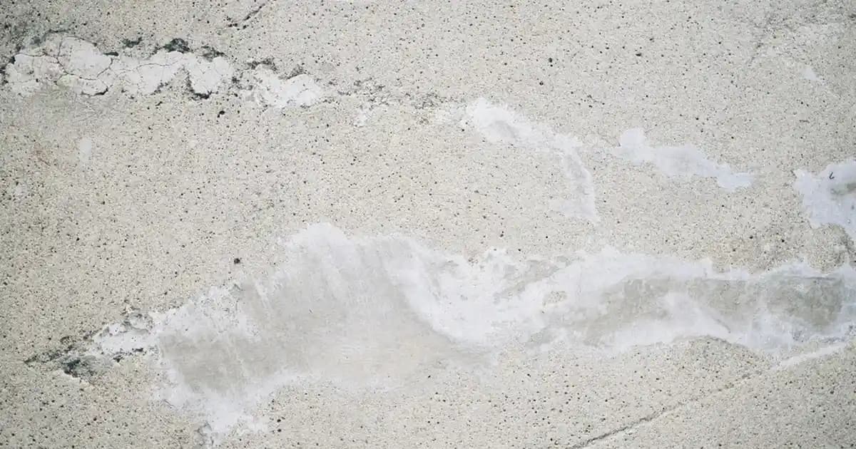 Calvin Klein Beauty: Minimalist Tasarım ve Kaliteli Kozmetik Ürünleriyle Modern Güzellik