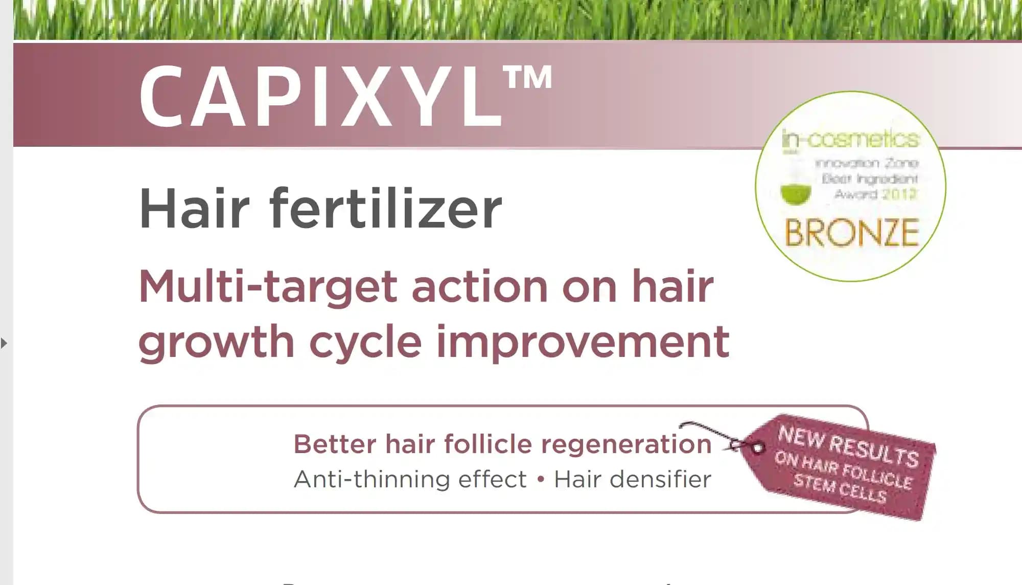 Capixyl ile Saç Dökülmesini Azaltan ve Saç Köklerini Güçlendiren Yenilikçi Çözüm