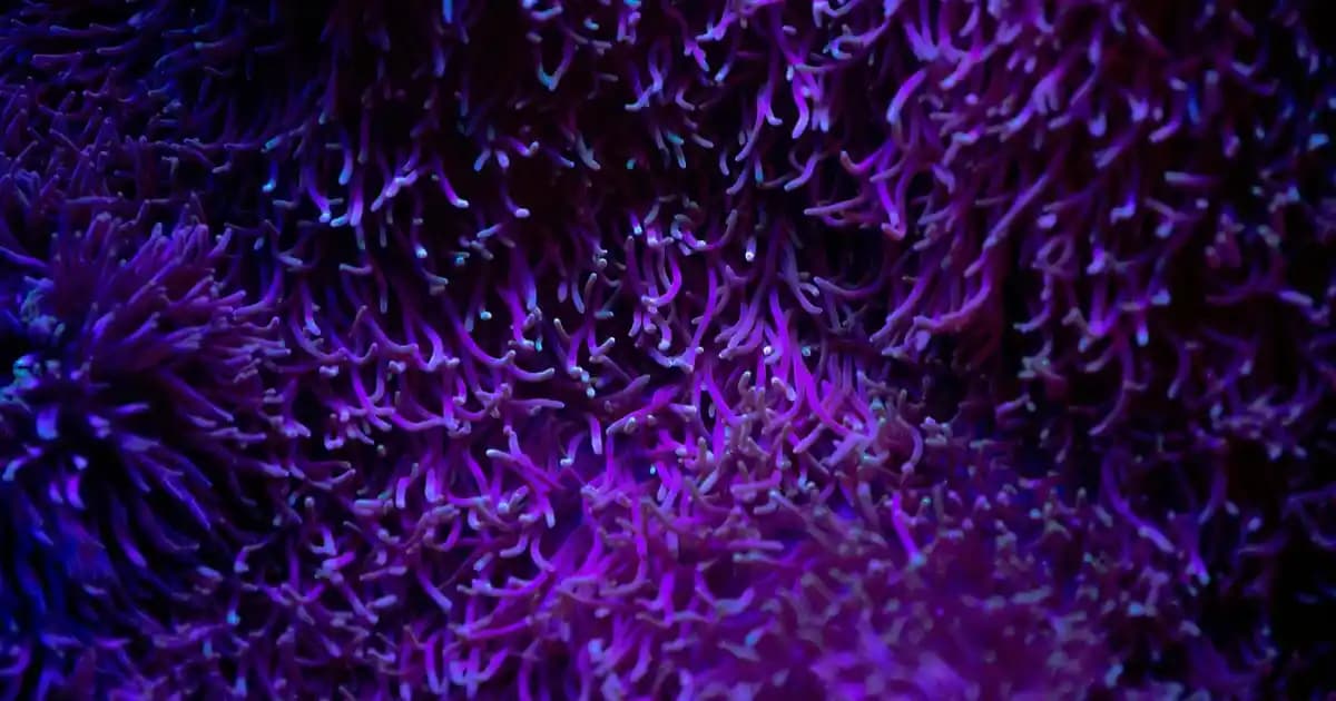 Caudalie Göz Çevresi Kremi: Doğal İçeriklerle Hassas Cilt Bakımı ve Koruma