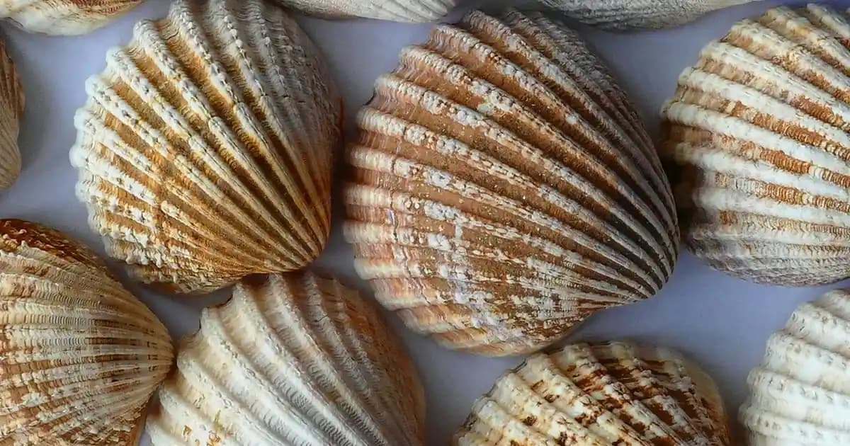 Caudalie Yüz Yıkama Jeli: Doğal İçeriklerle Akneye Eğilimli Ciltler İçin Etkili Temizlik