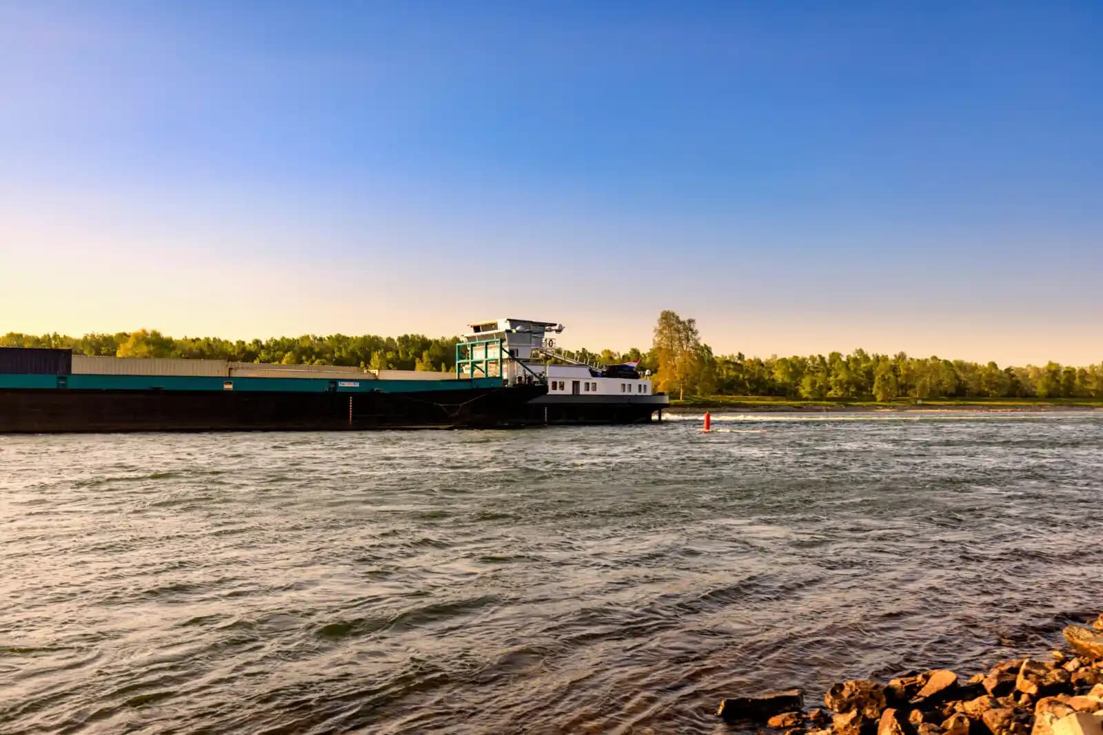 CESNI Kozmetik: Doğal ve Sürdürülebilir Kişisel Bakım Ürünlerinde Yenilikçi Marka