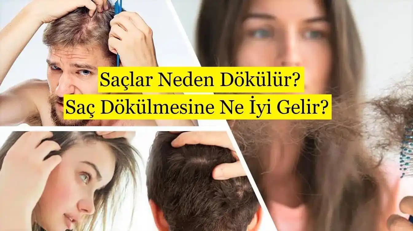 Dalin Saç Ürünleri ve Saç Dökülmesine Etkileri: Nazik ve Besleyici Bakım