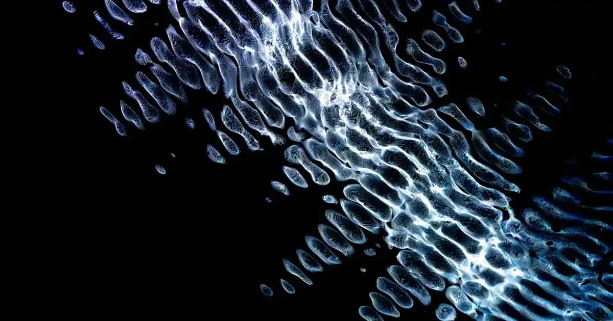 Deliksiz Tragus Küpe: Piercing Gerektirmeyen Estetik ve Konforlu Kulak Aksesuarı