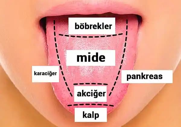 Dilin Üstünün Beyazlamasının Nedenleri, Önlenmesi ve Sağlık Uyarıları
