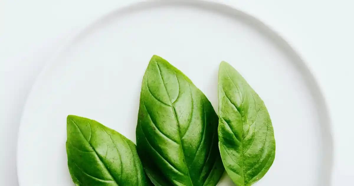 Diş Macunu P Tarihi Nedir ve Ağız Sağlığınız İçin Neden Önemlidir?