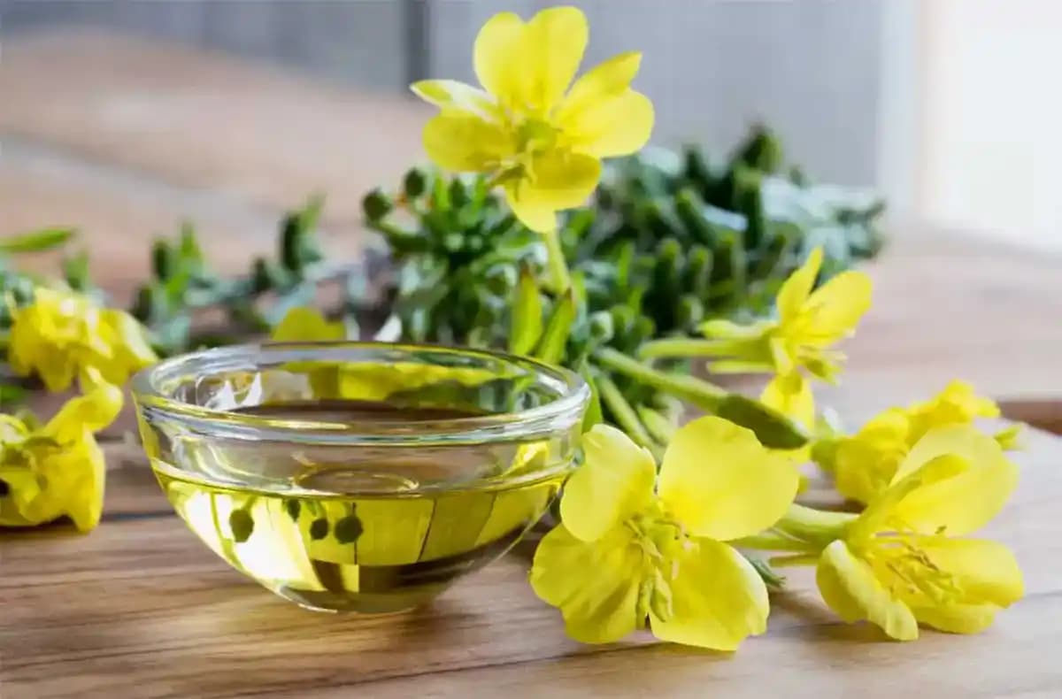 Ebegümeci Yağı Nedir? Cilt ve Kadın Sağlığında Doğal Destek Sağlayan Bitkisel Yağ