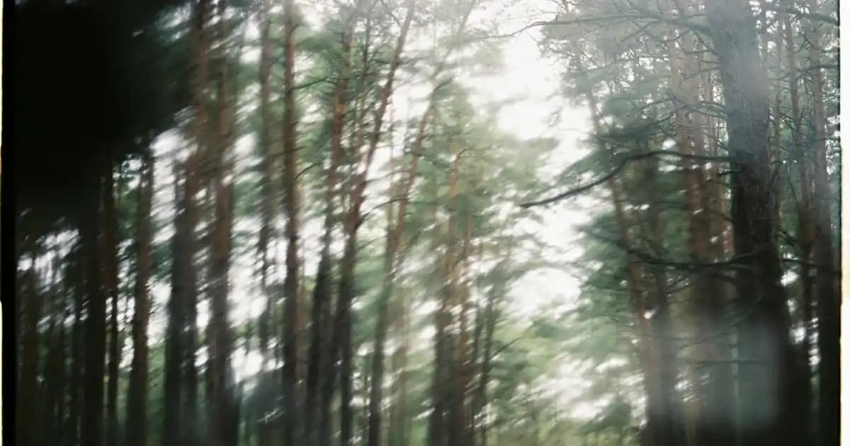 Egzama İçin Kortizonlu Krem: Etkili Tedavi ve Kullanım Rehberi