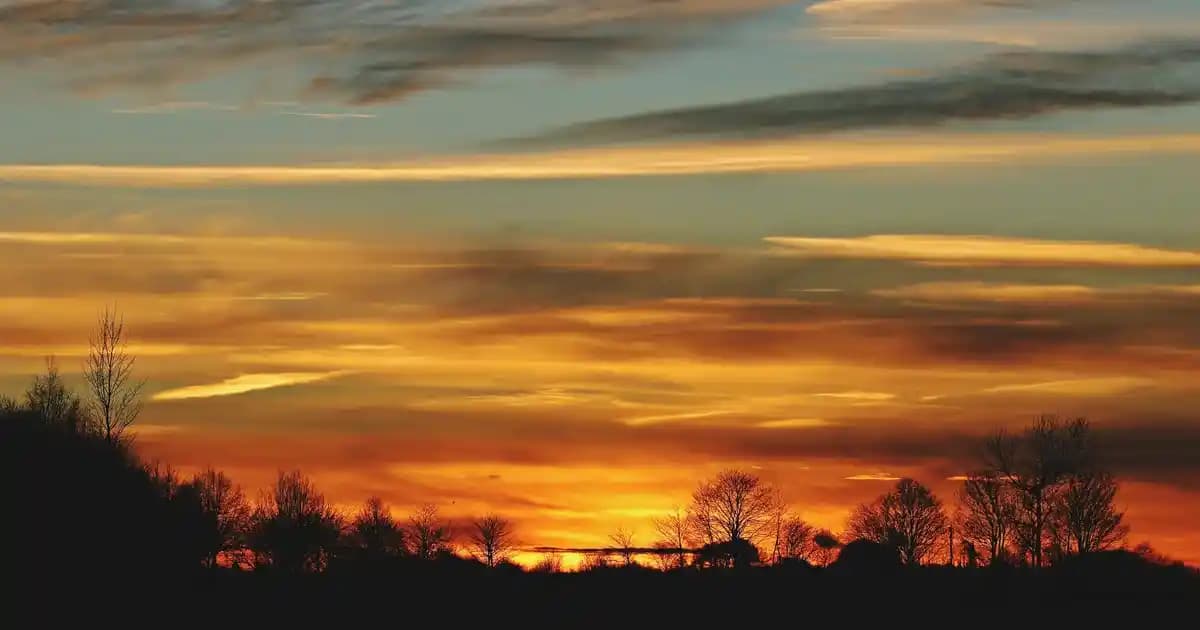 En Etkili Ödem Atıcı Yöntemler ve Kozmetik Ürünler: Sağlık ve Güzellik Rehberi
