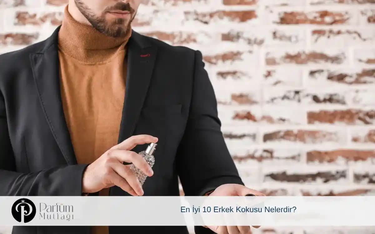 En Güzel Erkek Kokusu: Parfüm Seçiminde Koku Aileleri ve Uygulama İpuçları
