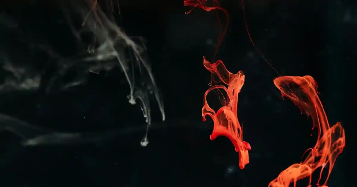 En İyi Bebek Bakım Ürünleri: Yeni Ebeveynler İçin Kapsamlı ve Güvenilir Rehber