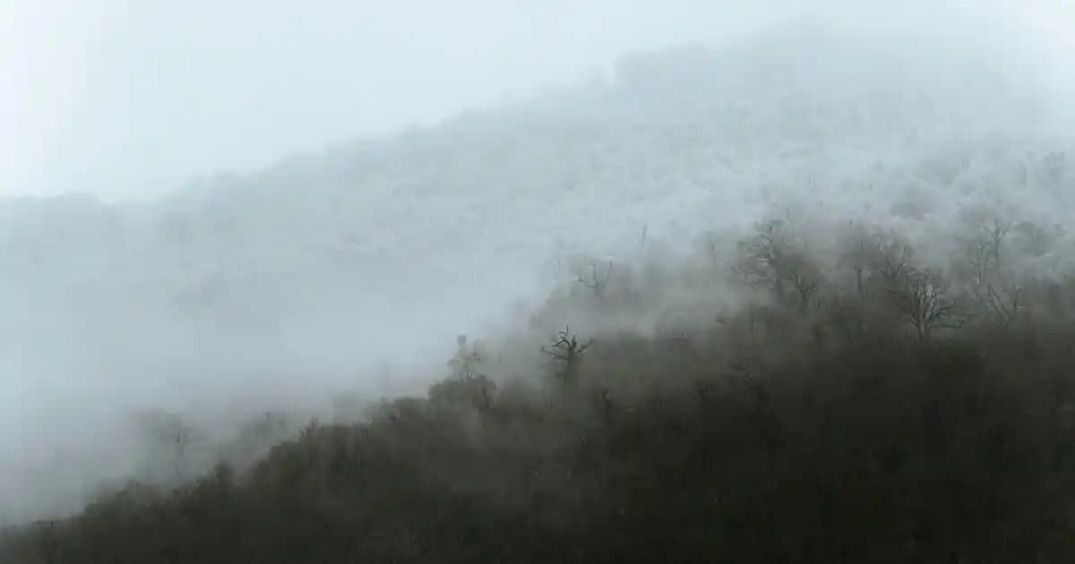 En İyi Kükürtlü Sabunlar: Doğal Cilt Bakımında Etkili Çözümler ve Faydaları