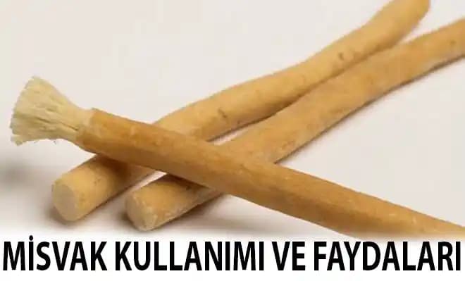 En İyi Misvak Seçimi ve Doğal Ağız Bakımının Temel İlkeleri