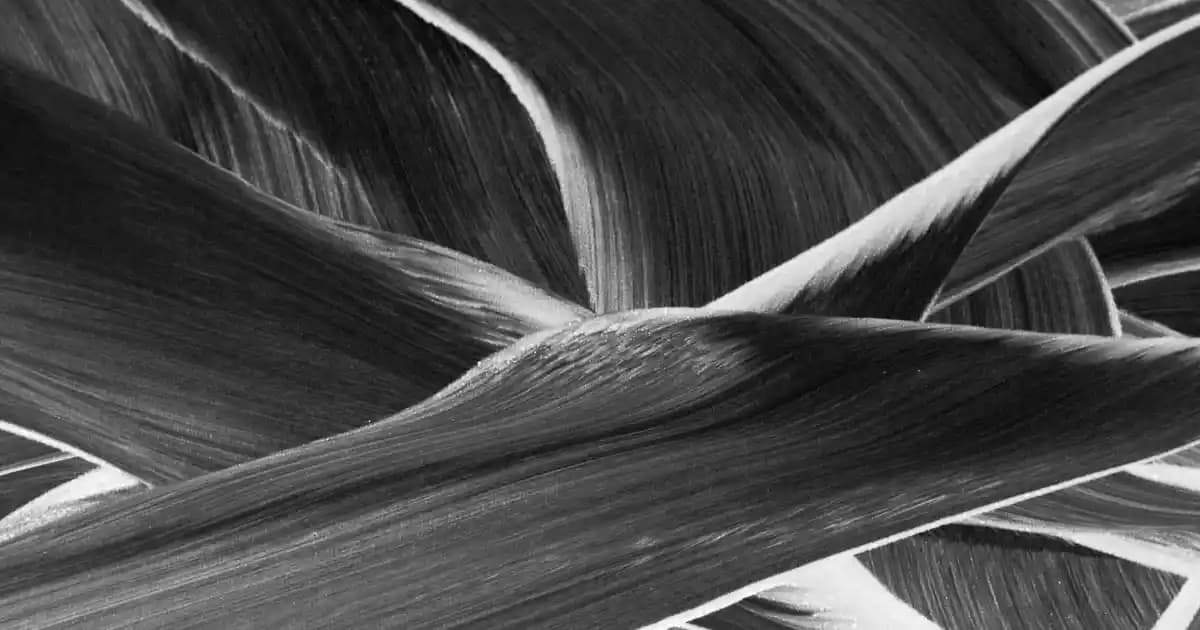 Epinafol: Doğal İçeriklerle Cilt Bakımında Yenilikçi ve Etkili Bir Ürün