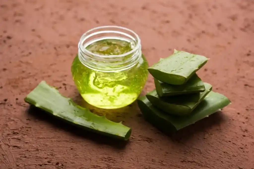 Evde Aloe Vera Jel Yapımı ve Faydaları: Doğal Cilt ve Saç Bakım Rehberi