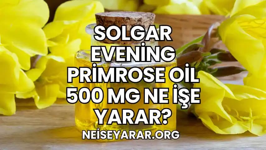 Evening Primrose Oil (Çuha Çiçeği Yağı) ile Cilt ve Hormon Sağlığında Doğal Destek