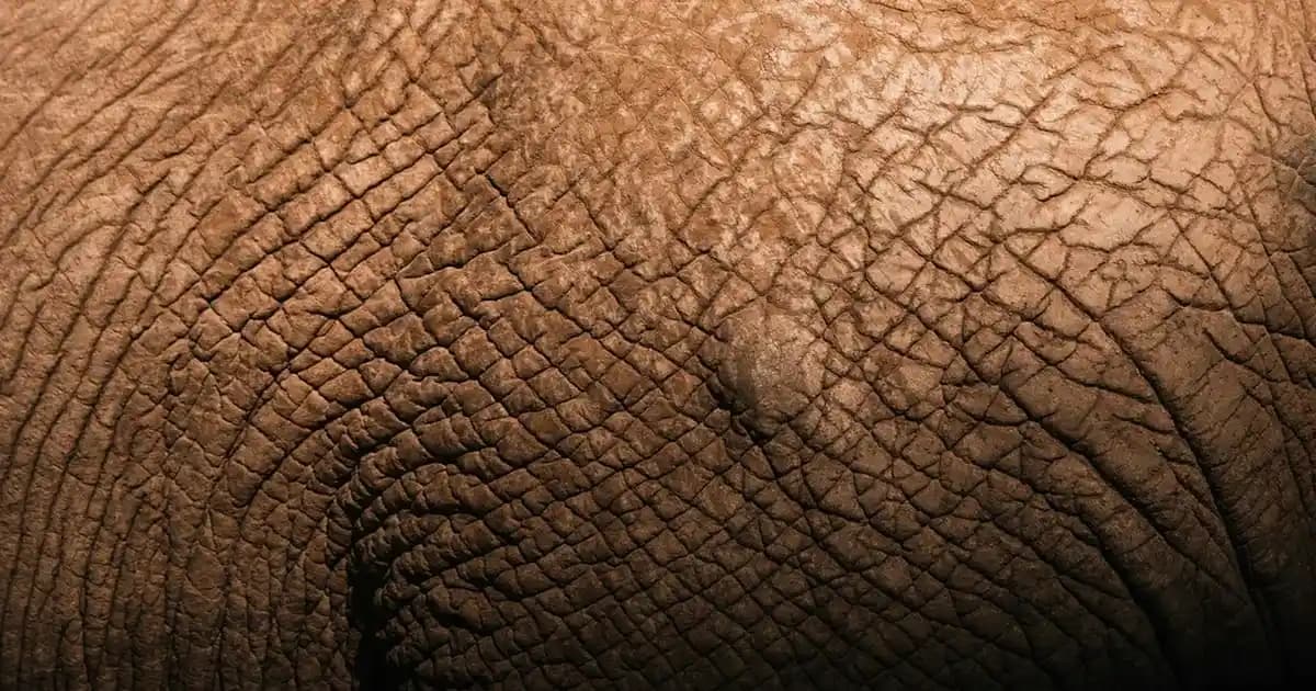 Eyüp Sabri Tuncer Nemlendirici: Doğal İçeriklerle Cilt Bakımında Güvenilir Çözüm