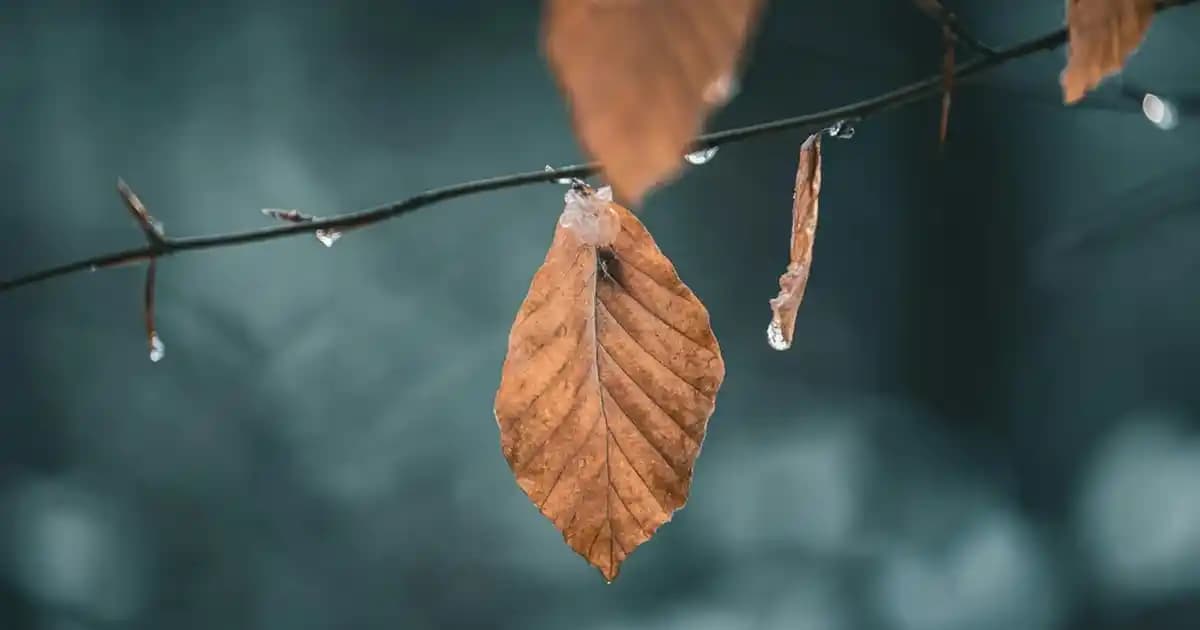 Fair Renk Nedir? Kozmetikte Açık Ten ve Saç Tonları ile Ürün Seçimi Rehberi