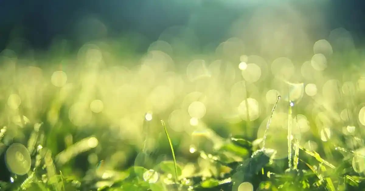 Farmasi Balsam Krem: Doğal İçeriklerle Cilt ve Kas Bakımında Etkili Çözüm