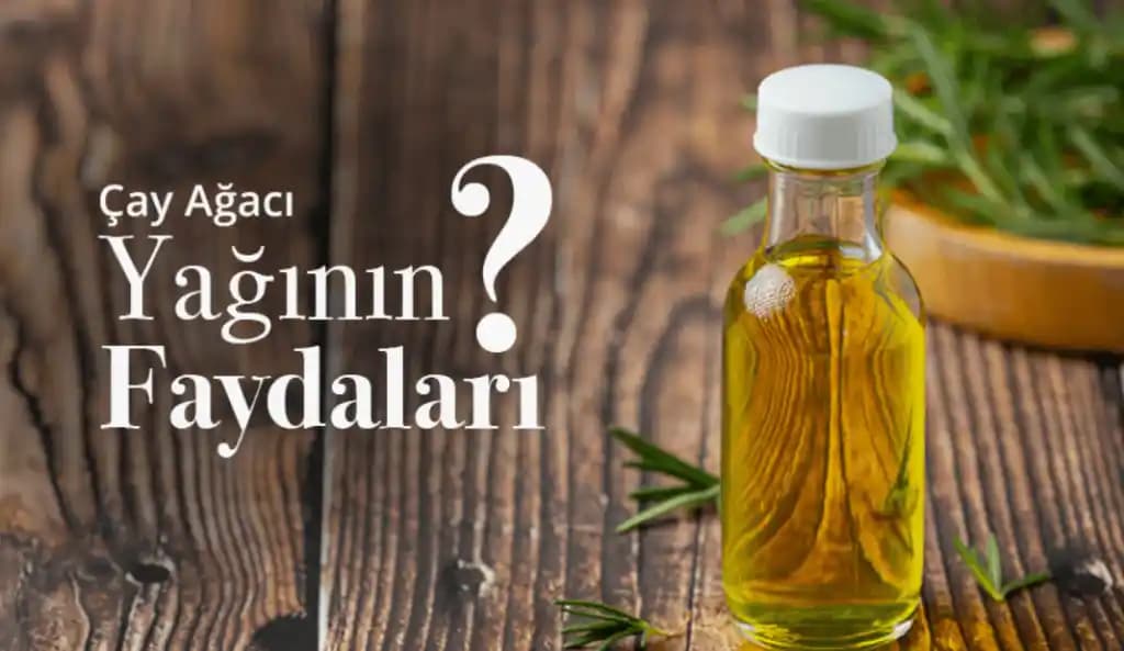 Farmasi Çay Ağacı Yağı: Doğal Cilt ve Saç Bakımında Etkili Çözümler