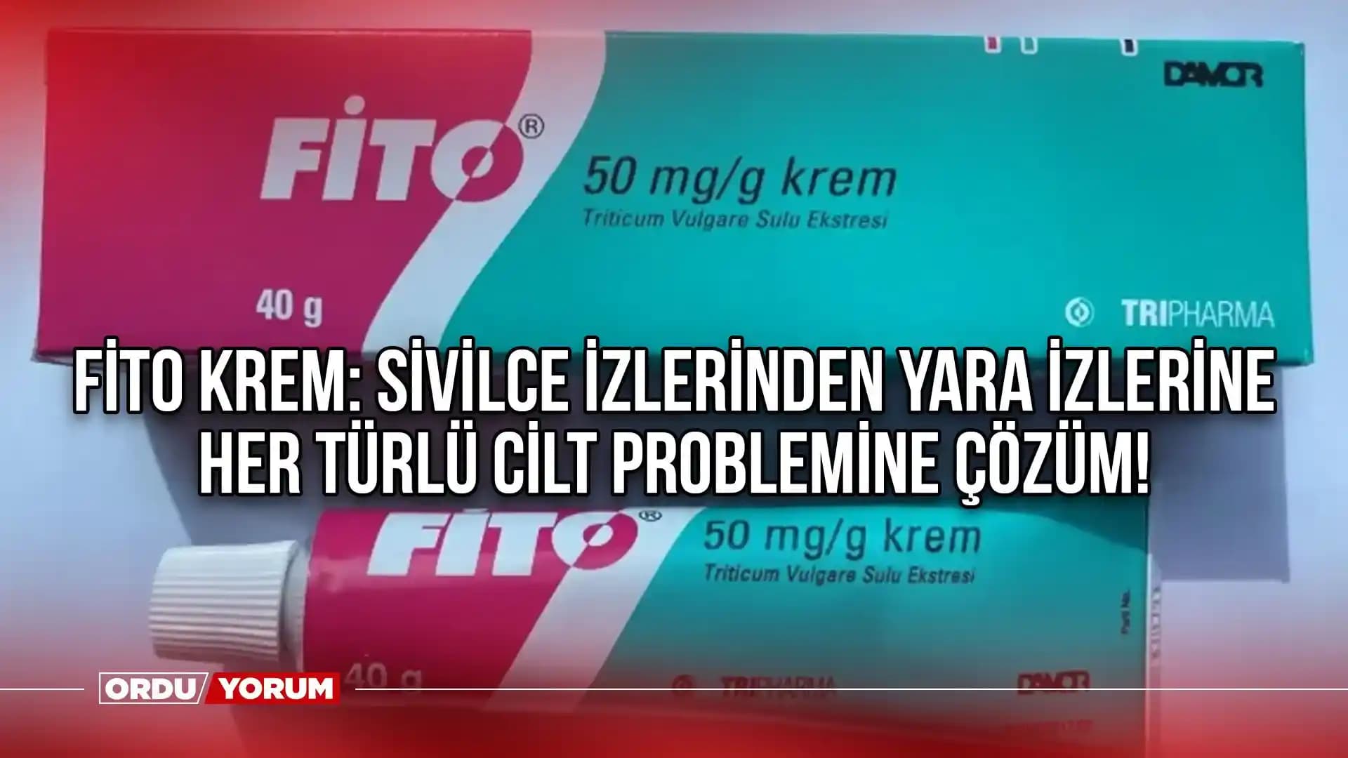 Fito Kremi ve Devlet Desteği: Türkiye’de Bitkisel Cilt Ürünlerinin Durumu