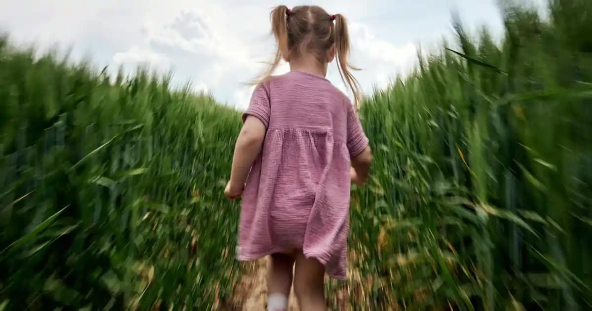 Frank Martin Parfüm: Zarafet ve Kalıcılık Sunan Doğal İçerikli Kokular