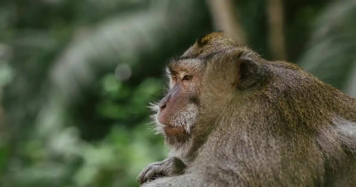 Fugisid Krem Pişik Tedavisinde Kullanımı ve Dikkat Edilmesi Gerekenler