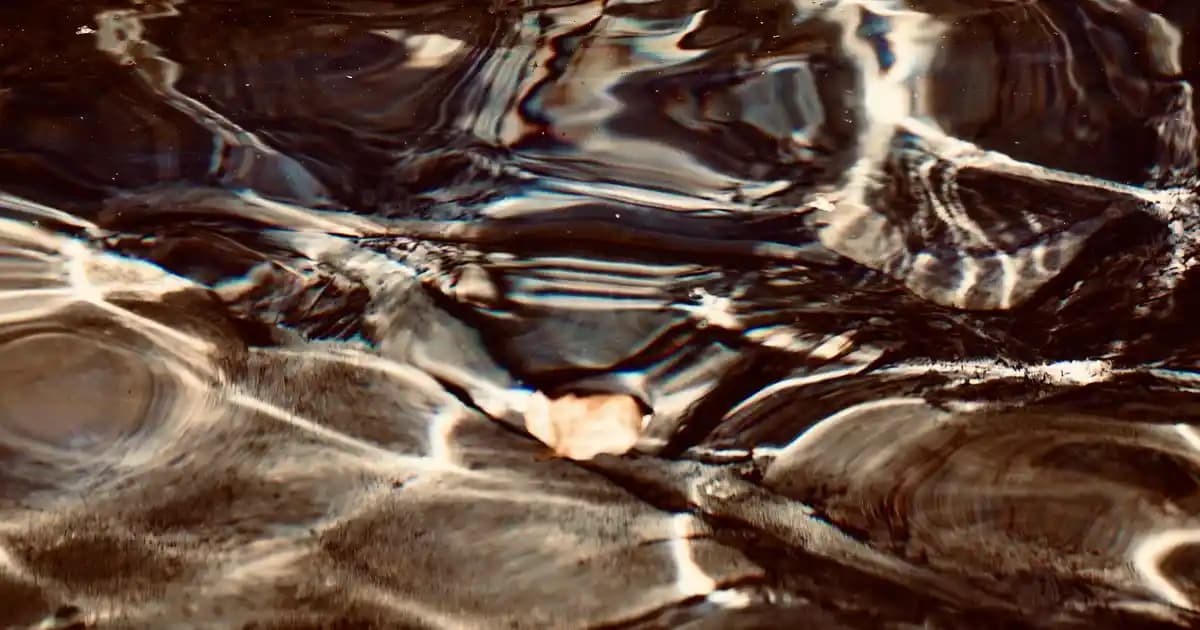 Gano Transparent Soap: Doğal İçeriklerle Cilt Temizliği ve Nemlendirme Sabunu