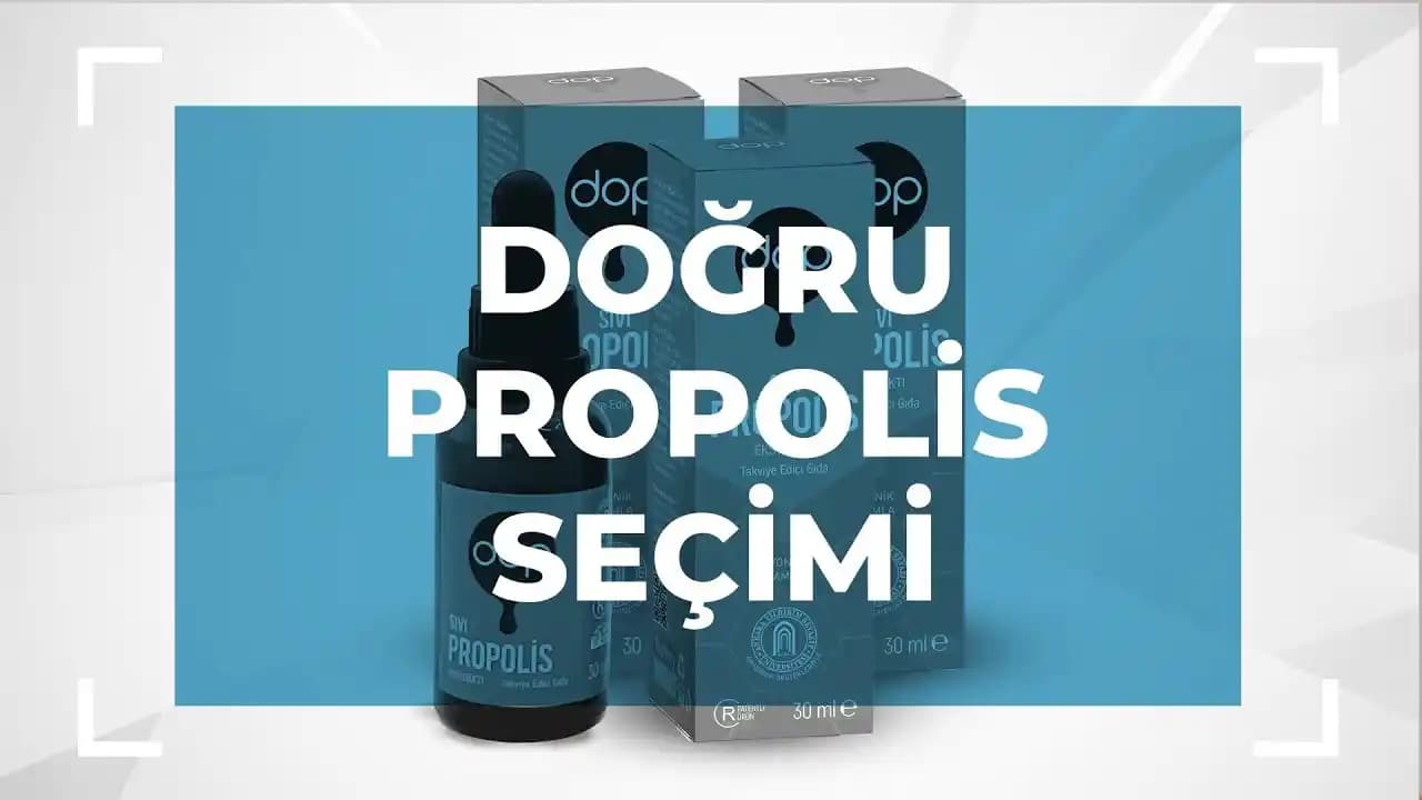 Gerçek Propolis Nereden Alınır? Doğal ve Güvenilir Propolis Temin Rehberi