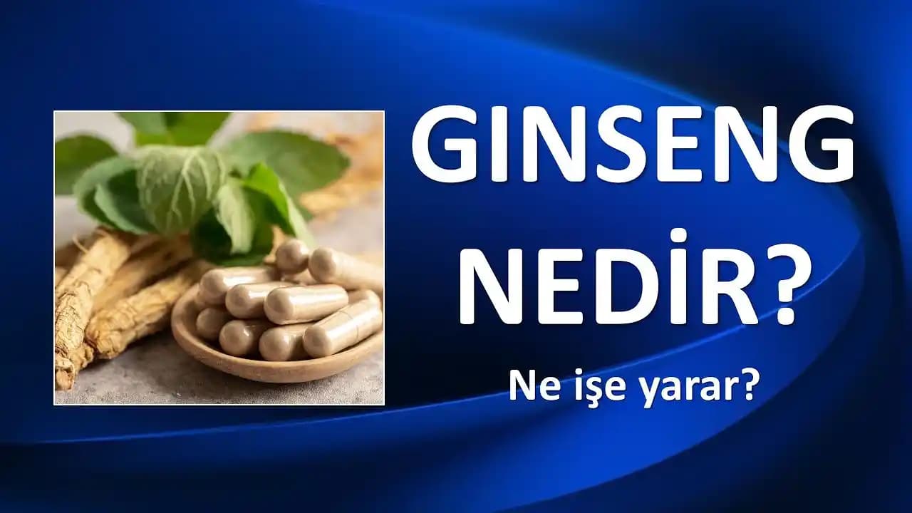 Ginseng Bant Nedir ve Cilt Bakımında Sağladığı Doğal Faydalar Nelerdir