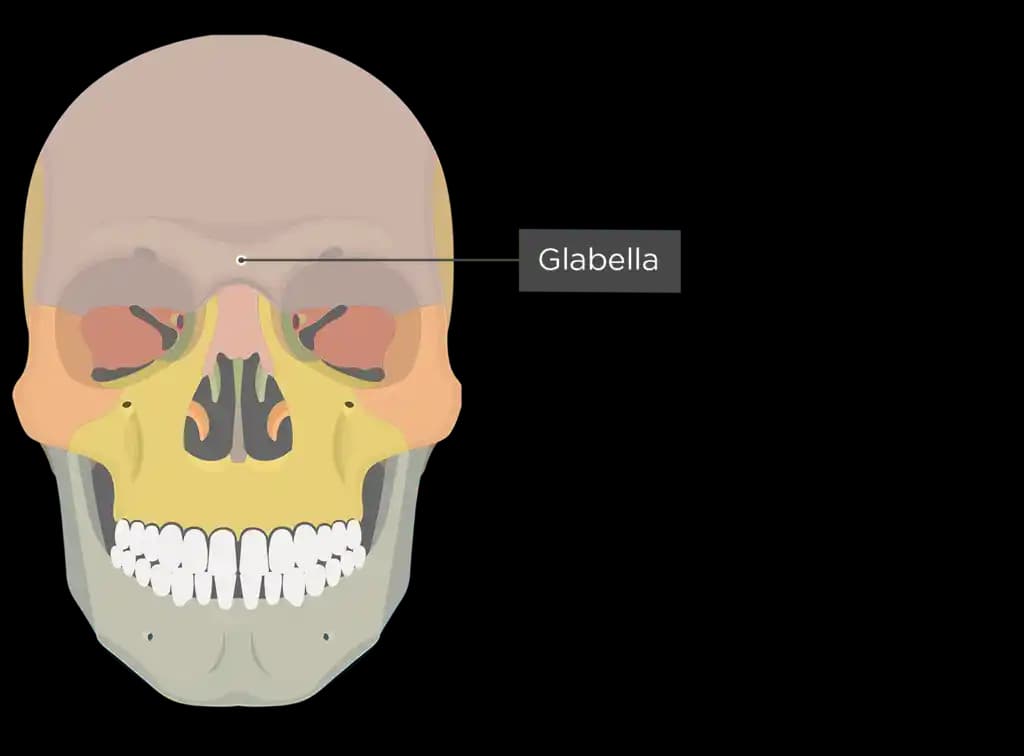 Glabella G10: Yüz Gençleştirmede Etkili Estetik ve Kırışıklık Tedavisi