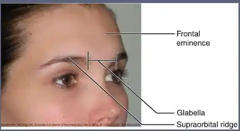 Glabella G45: Glabella Bölgesinde Kırışıklık ve Cilt Tonu Düzeltici Yenilikçi Bakım Ürünü