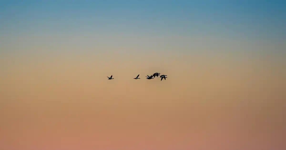 Göz Altı Morluk Giderici Krem: Etkili İçerikler ve Doğru Kullanım Rehberi