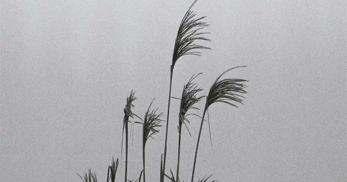 Göz Kremi Faydaları ve Doğru Kullanımı ile Göz Çevresi Bakımının Önemi