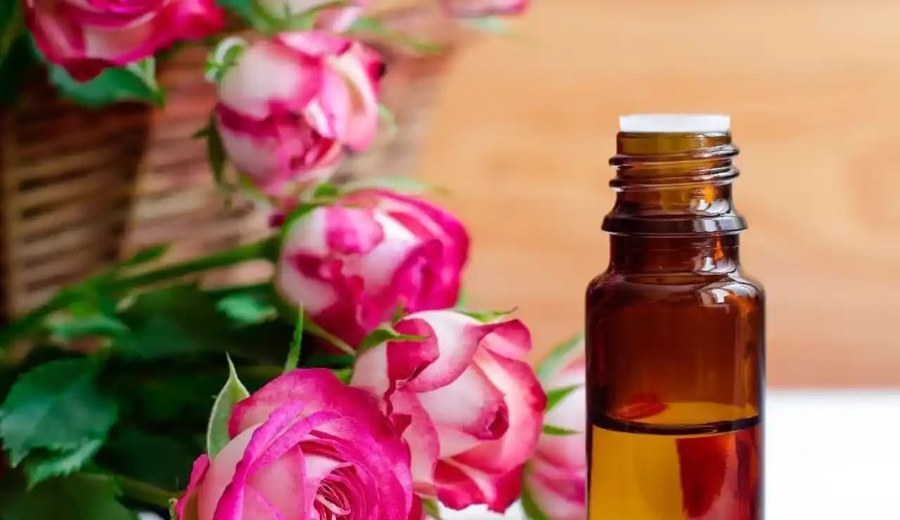 Gül Yağının Yüze Faydaları ve Doğal Cilt Bakımında Kullanımı Hakkında Bilgi