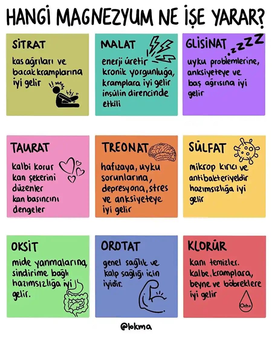 Güzellik ve Kişisel Bakımda Vitamin, Mineral ve Hormonların İşlevleri ve Önemi