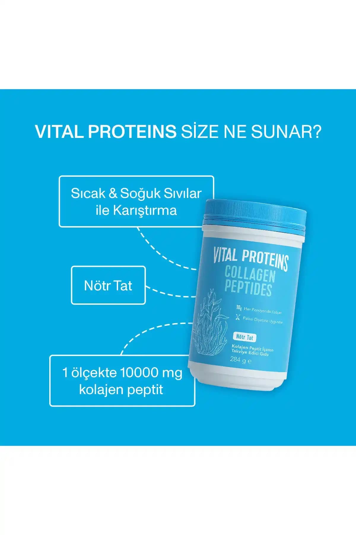 Hassas Mideye Uygun Vital Proteins Benzeri Kolajen Markaları ve Seçim Kriterleri