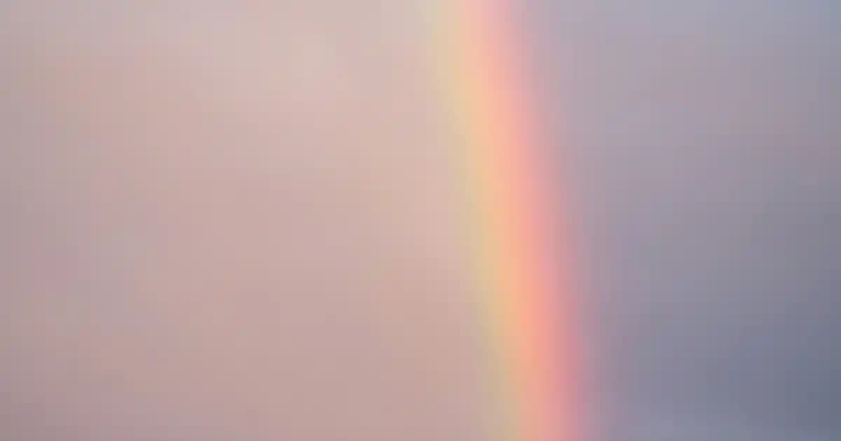 IFOS Sertifikası: Güzellik ve Kişisel Bakım Ürünlerinde Kalite ve Güvenin Standardı